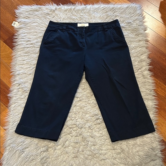 J. Crew Pants - J. Crew Classic Twill Chino Favorite Fit Women’s Navy Blue Cropped Cotton‎ Pants